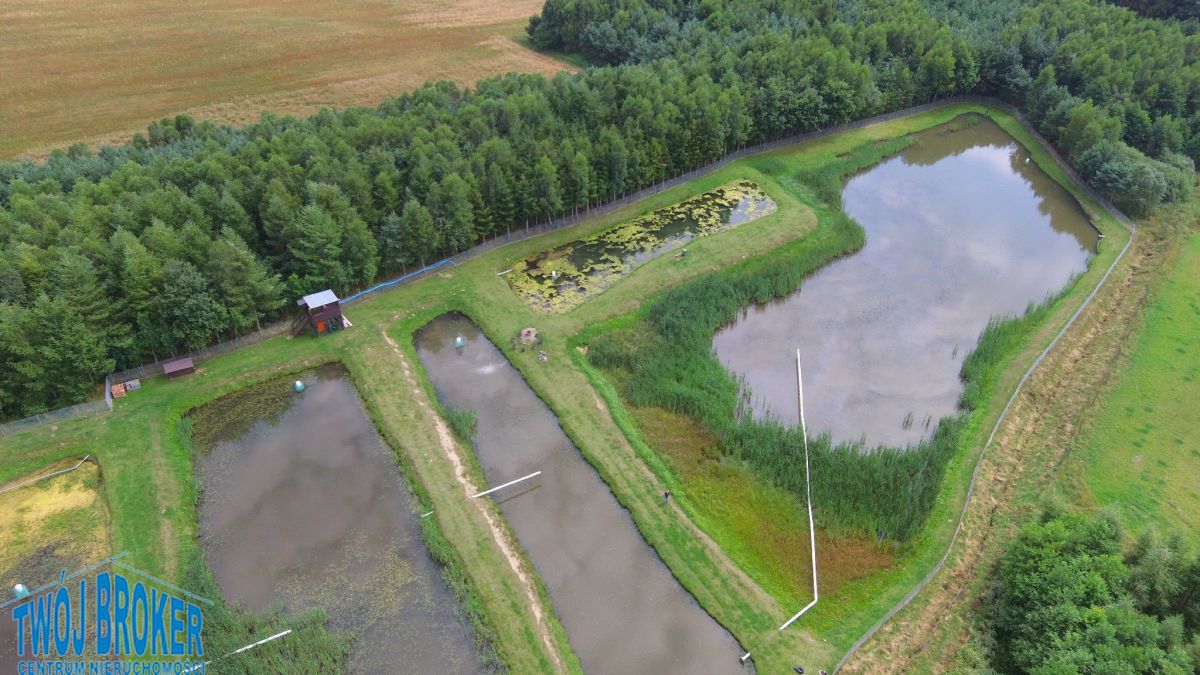 Nieruchomość komercyjna Bytów. Zdjęcie 15