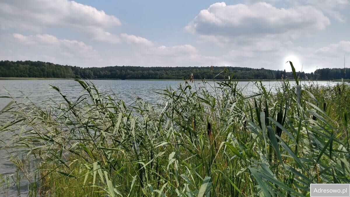 Działka budowlana Nierostowo. Zdjęcie 5