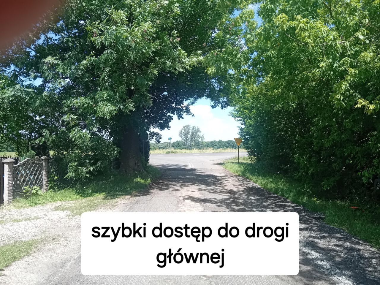 Działka budowlana Świerzna. Zdjęcie 6