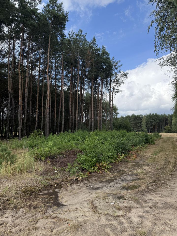Działka rolno-budowlana Zborów. Zdjęcie 3