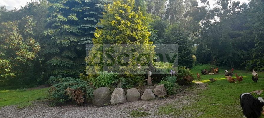 Hotel/pensjonat Praslity. Zdjęcie 3