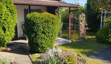 Działka rod Koninko, ul. Porzeczkowa