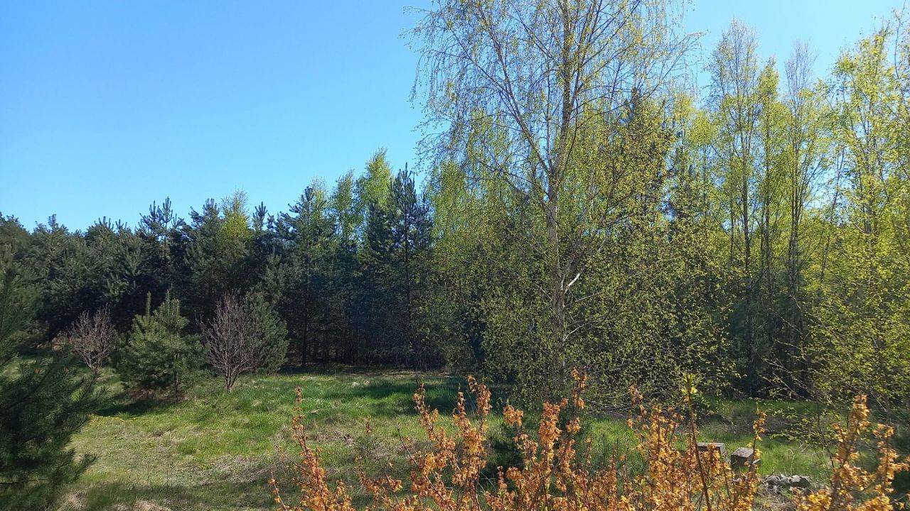Działka budowlana Dębiec. Zdjęcie 2