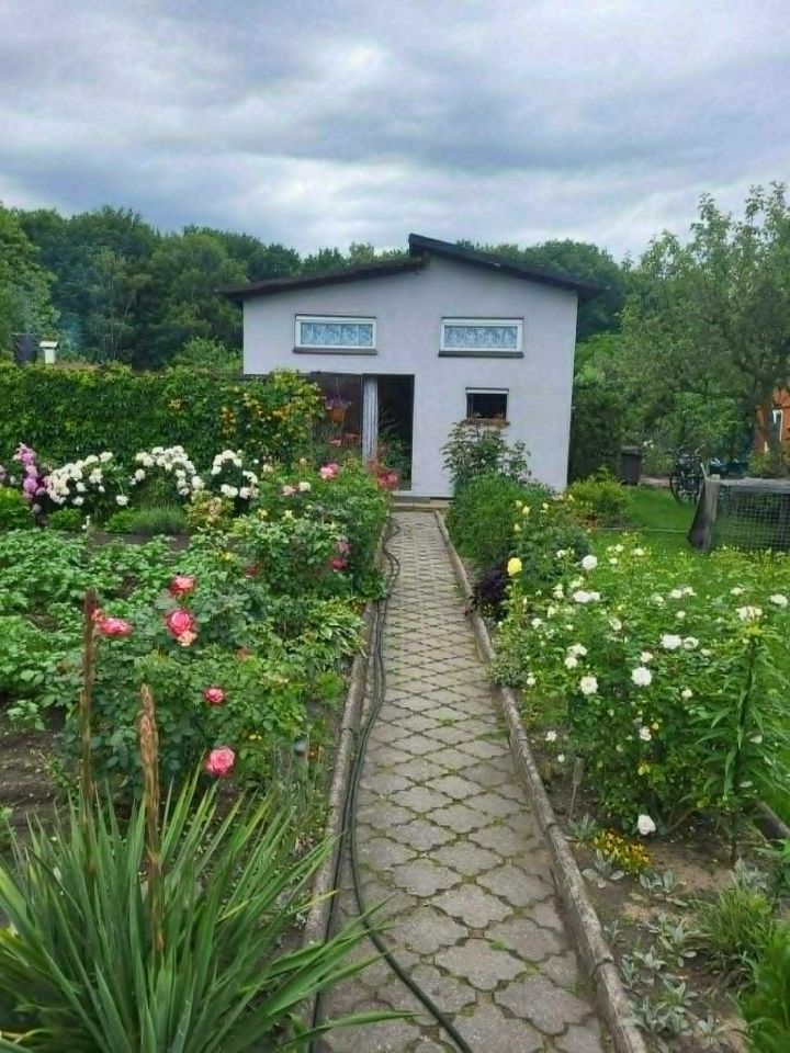 Działka rod Rybnik Boguszowice. Zdjęcie 2