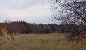 Działka rolno-budowlana Węglów, Węglów