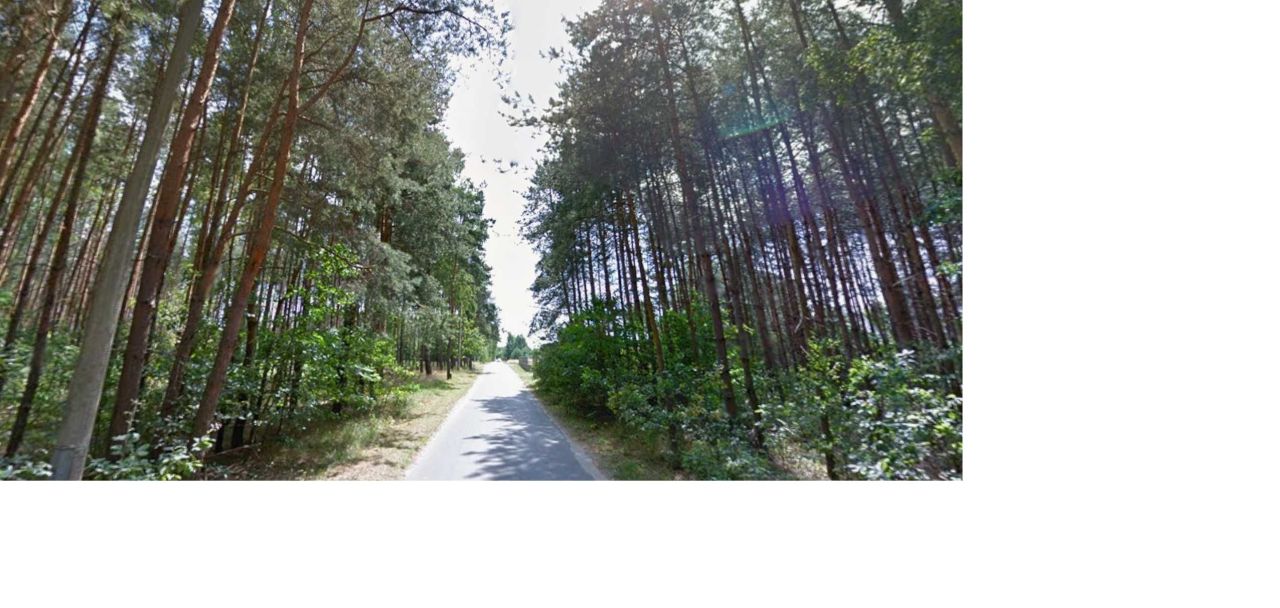 Działka budowlana Adamów-Parcel. Zdjęcie 2
