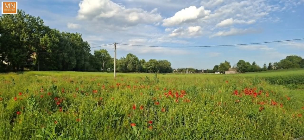 Działka budowlana Marszowice. Zdjęcie 8
