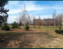 Działka rolno-budowlana Zakrzew. Zdjęcie 4