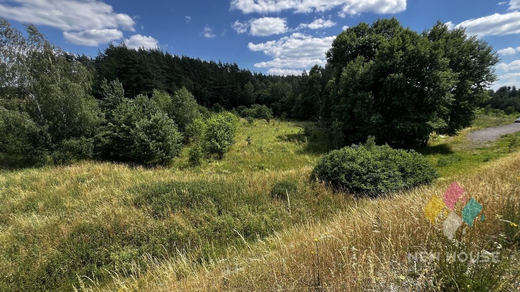 Działka rolna Jemiołowo. Zdjęcie 5