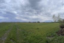 Działka rolno-budowlana Stegienka. Zdjęcie 2