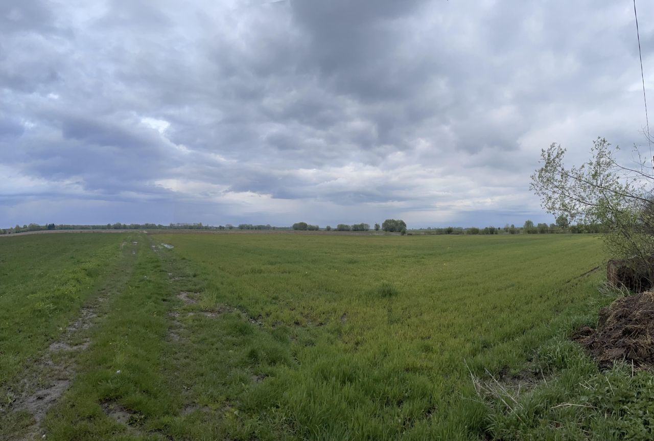 Działka rolno-budowlana Stegienka. Zdjęcie 3