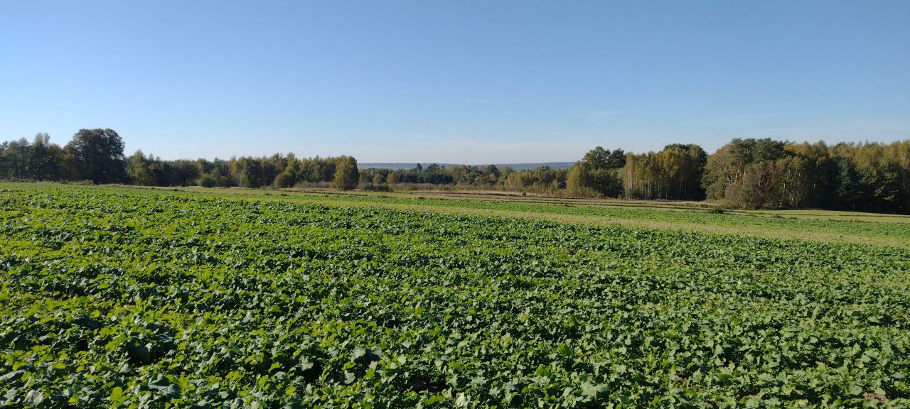 Działka rolna Zastawie-Kolonia. Zdjęcie 3