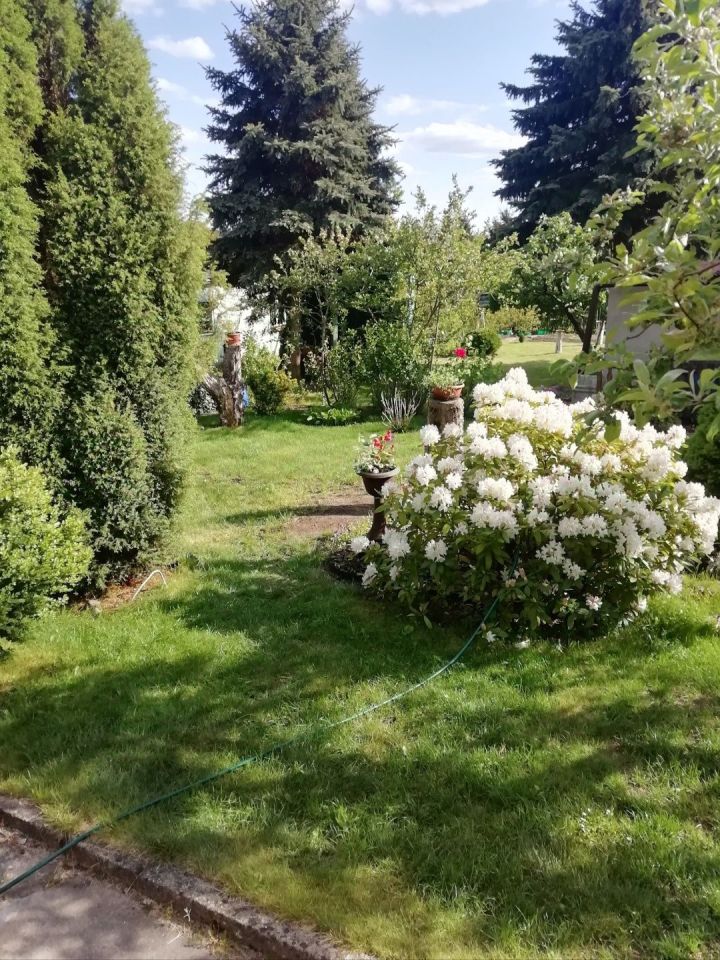 Działka rod Zielona Góra Jędrzychów. Zdjęcie 2