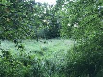 Działka rekreacyjna Rusocice. Zdjęcie 4