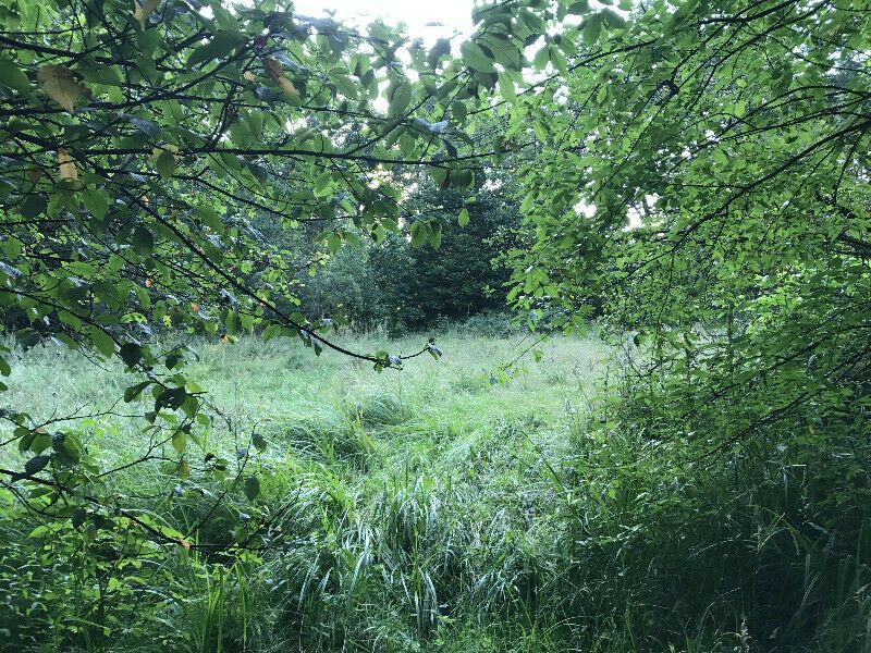 Działka rekreacyjna Rusocice. Zdjęcie 5