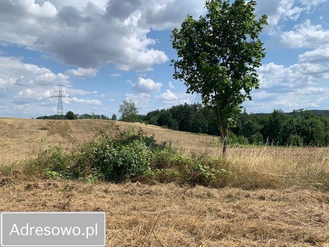 Działka budowlana Świebodzice Pełcznica, ul. Zimny Dwór. Zdjęcie 5