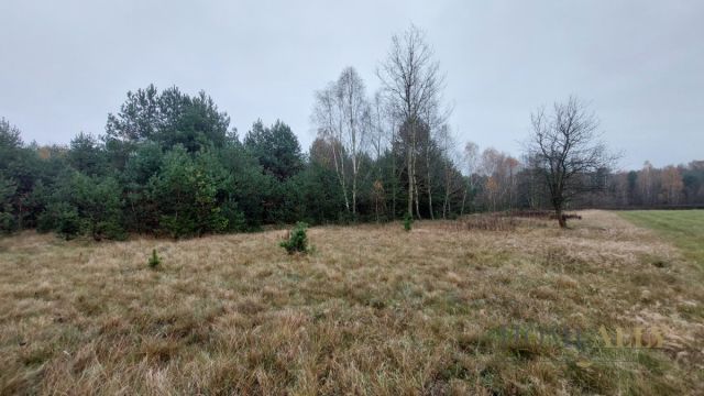 Działka rolna Teofile. Zdjęcie 3