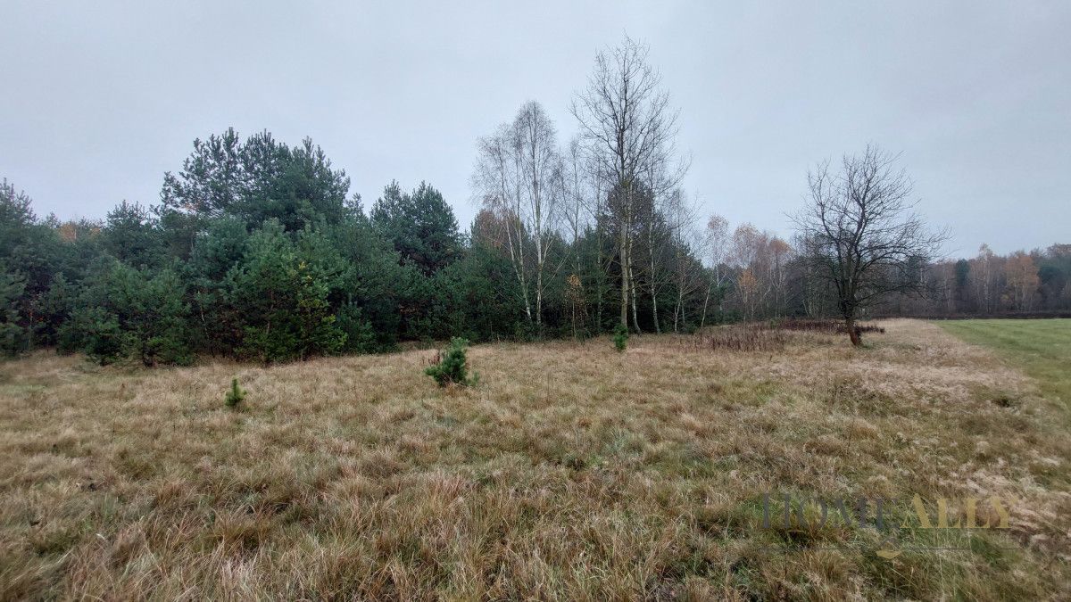 Działka rolna Teofile. Zdjęcie 3