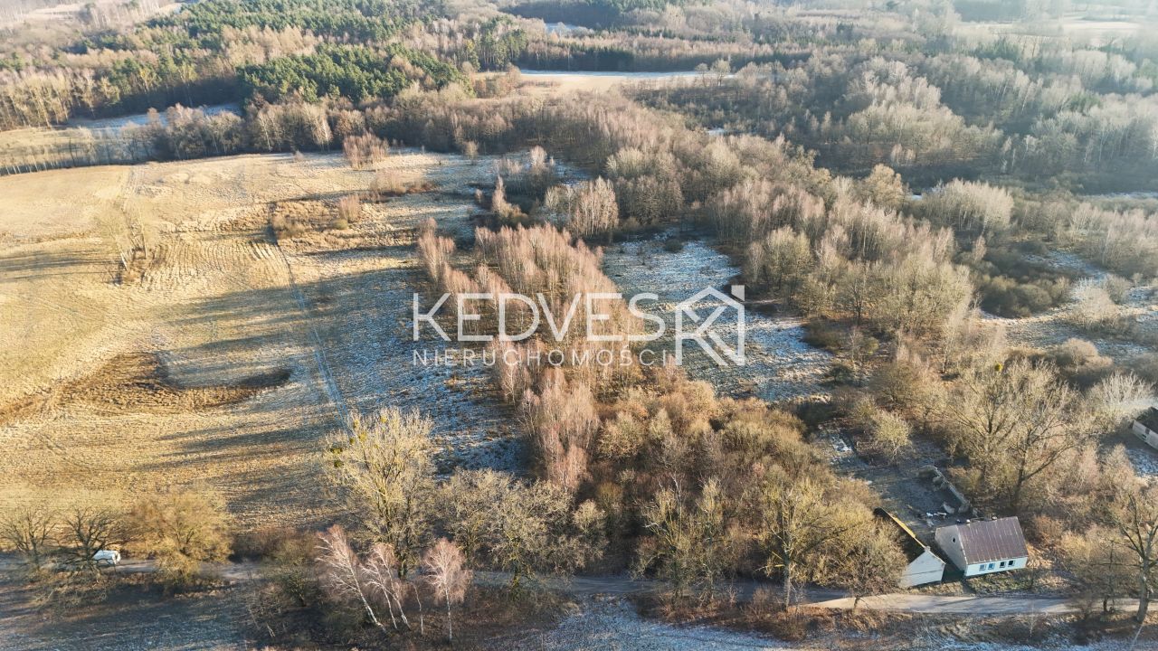 Działka rolna Mariankowo. Zdjęcie 3