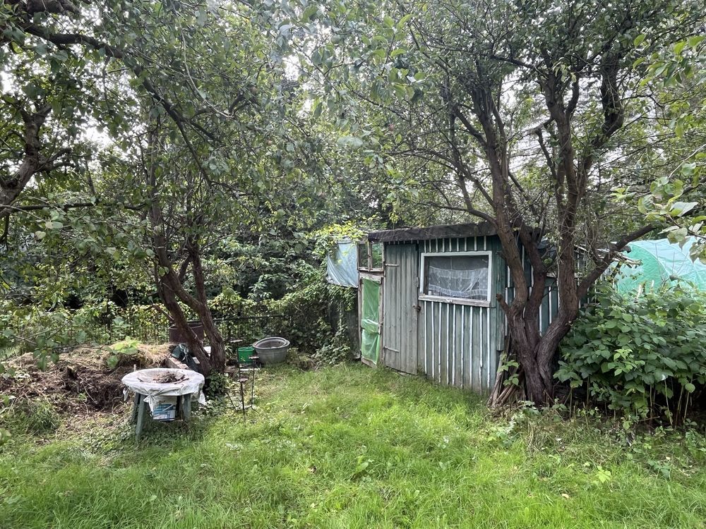 Działka rod Gdańsk Brętowo. Zdjęcie 3