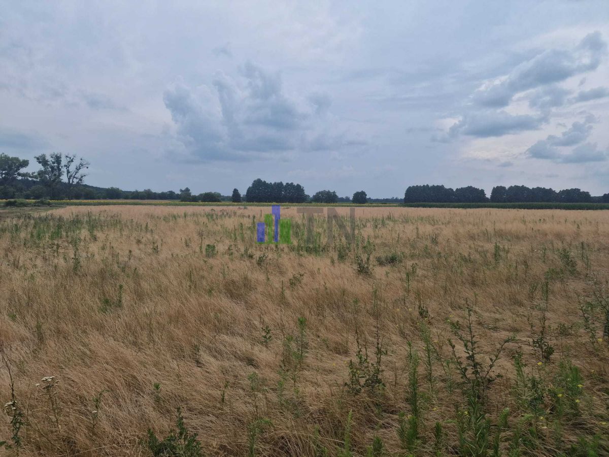 Działka budowlana Miłocice. Zdjęcie 9