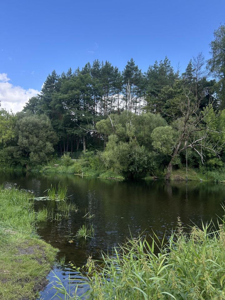 Działka rolno-budowlana Popielżyn Górny. Zdjęcie 3