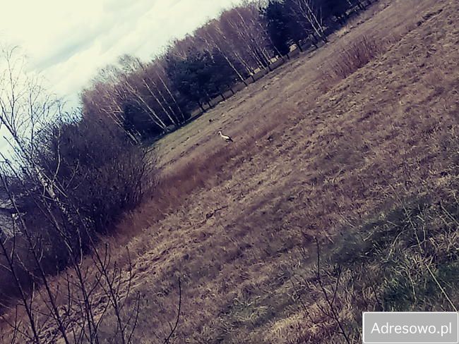 Działka budowlana Naterki, ul. Andromedy. Zdjęcie 11