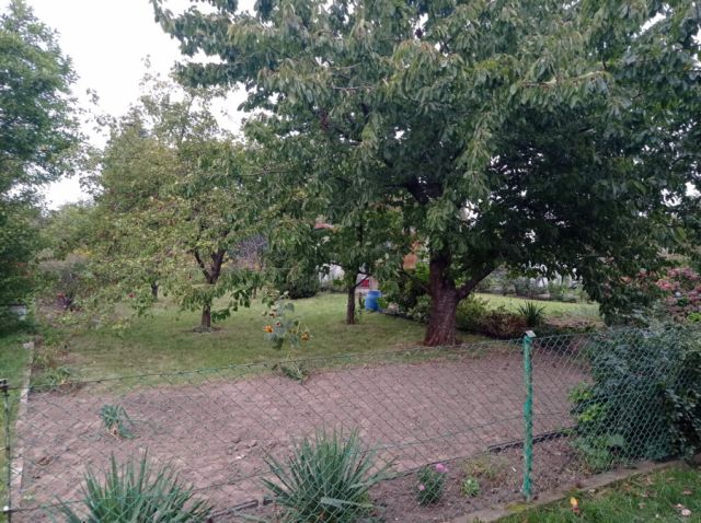 Działka rod Gdynia Oksywie, ul. Belwederska. Zdjęcie 1