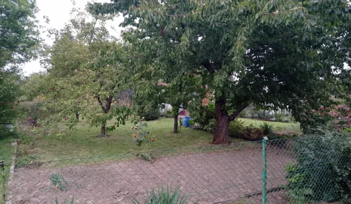 Działka rod Gdynia Oksywie, ul. Belwederska