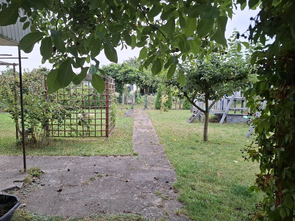 Działka rod Stargard, ul. Spokojna. Zdjęcie 6