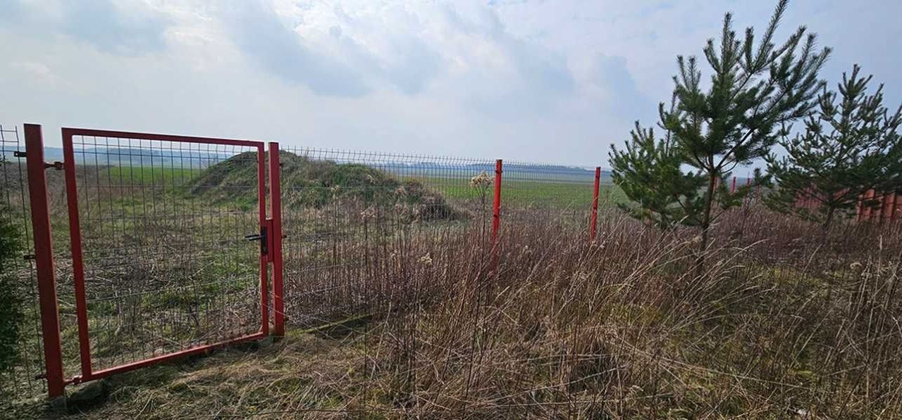 Działka budowlana Głogowo. Zdjęcie 6