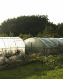 Działka budowlana Marszewo. Zdjęcie 2