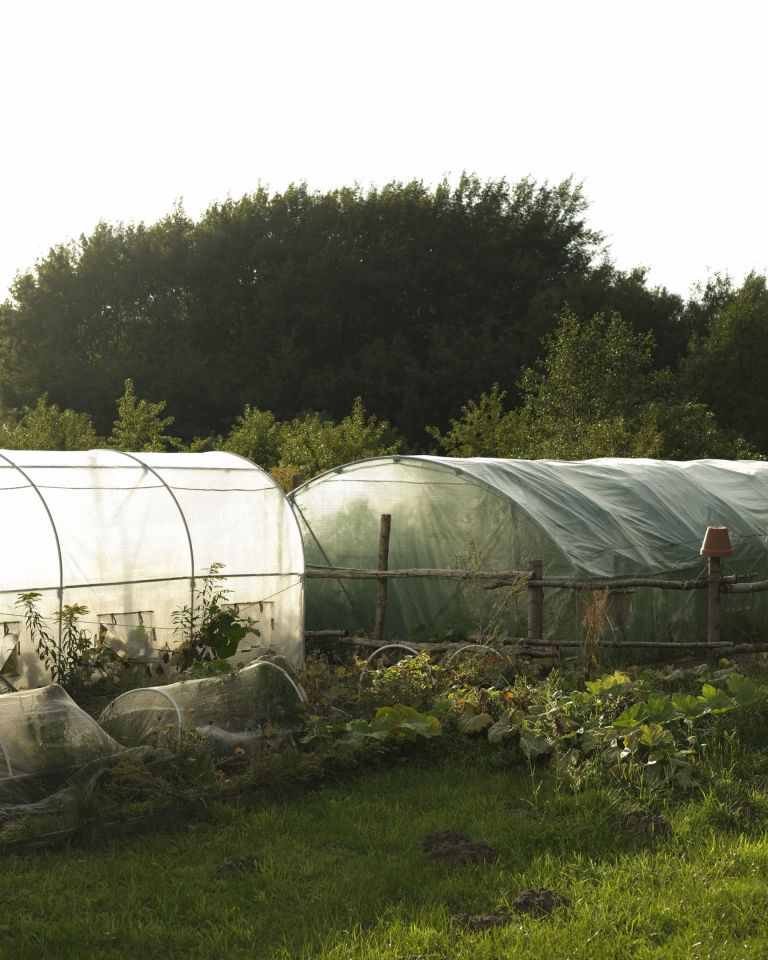 Działka budowlana Marszewo. Zdjęcie 3