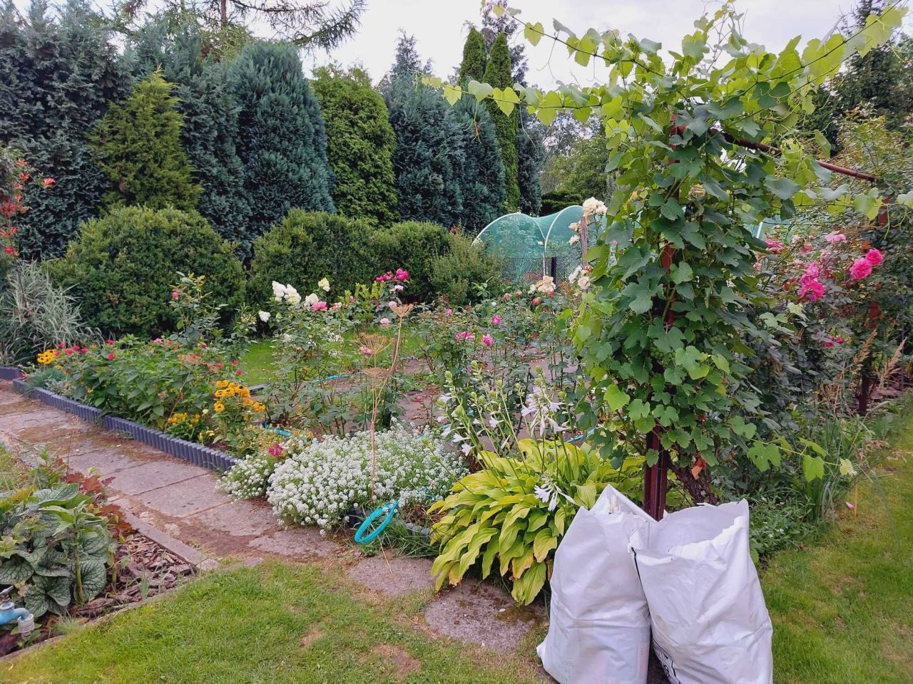 Działka rod Tomaszów Mazowiecki, ul. Wierzbowa. Zdjęcie 7