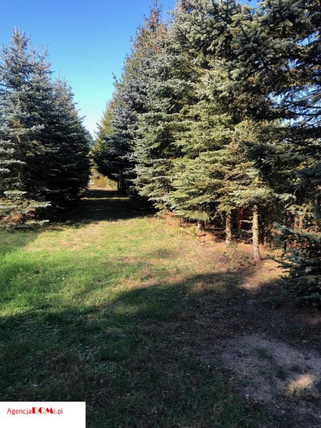 Działka budowlana Marynin. Zdjęcie 4