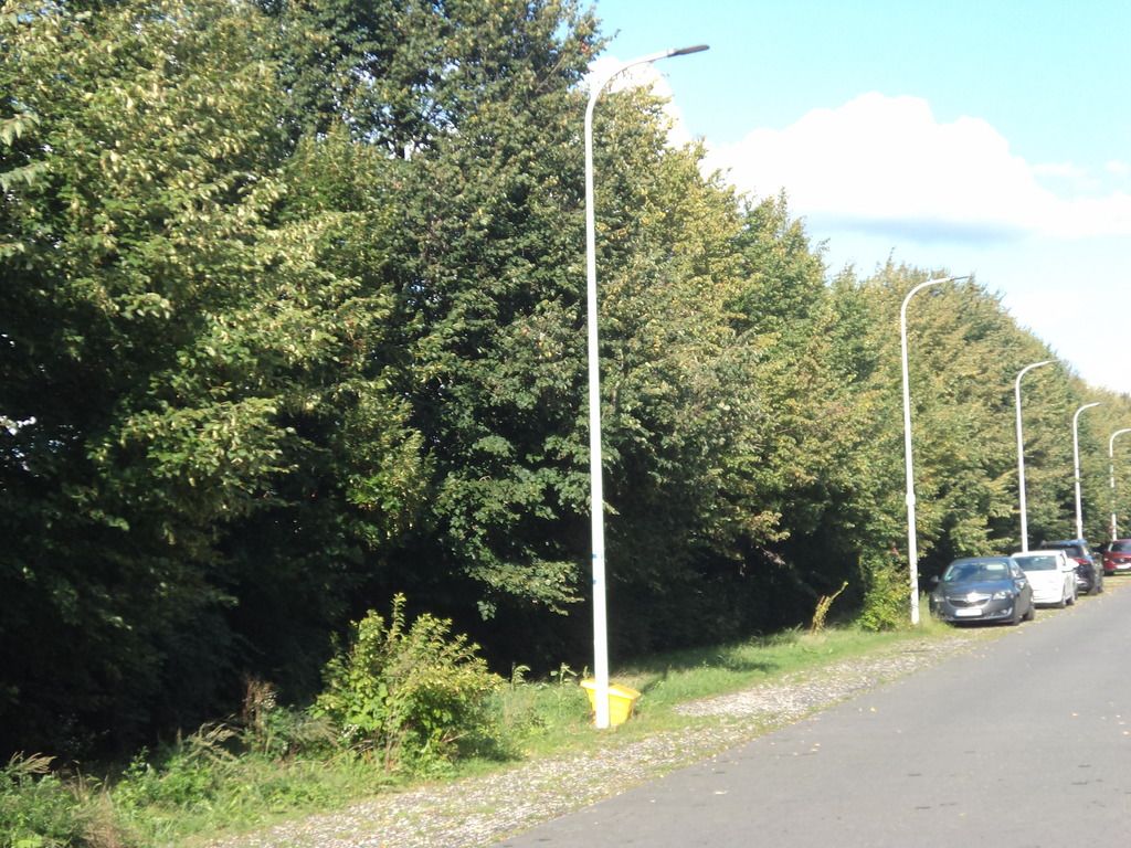 Mieszkanie 4-pokojowe Warszawa Wilanów, ul. Ruczaj. Zdjęcie 10