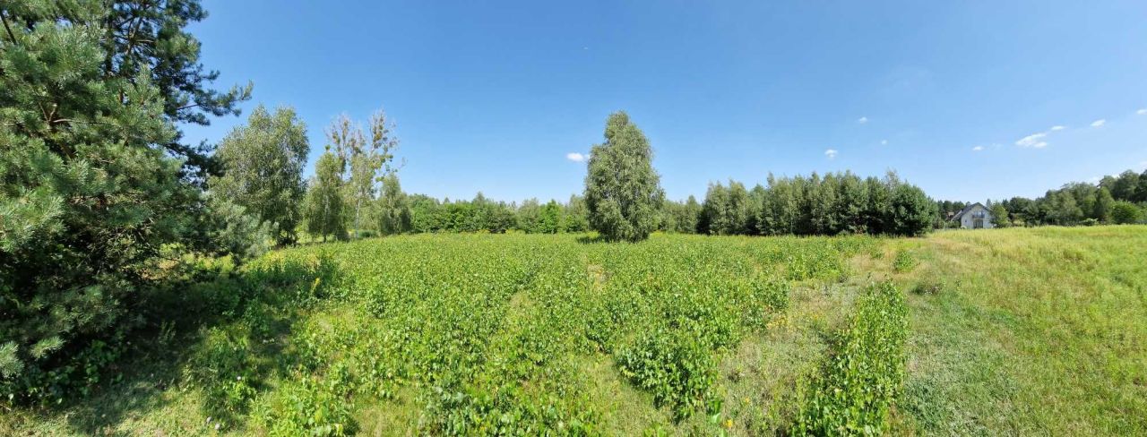 Działka budowlana Błędowo, ul. Słowiańska. Zdjęcie 9