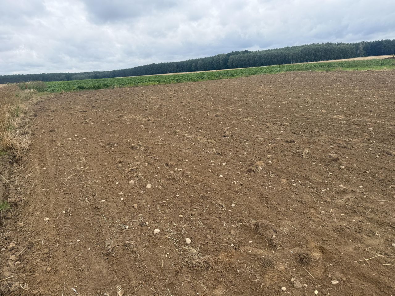 Działka budowlana Kąkolewo, ul. Pocztowa. Zdjęcie 3