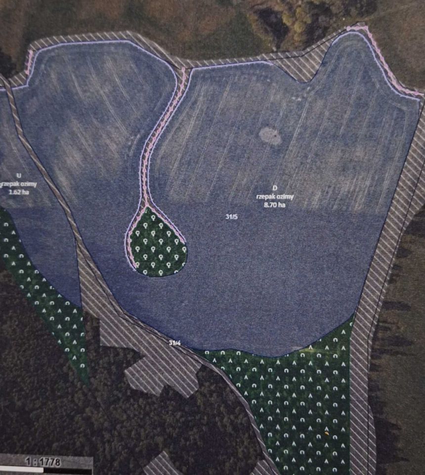 Działka rolna Włosty. Zdjęcie 7