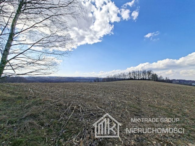 Działka Bodzanów. Zdjęcie 6