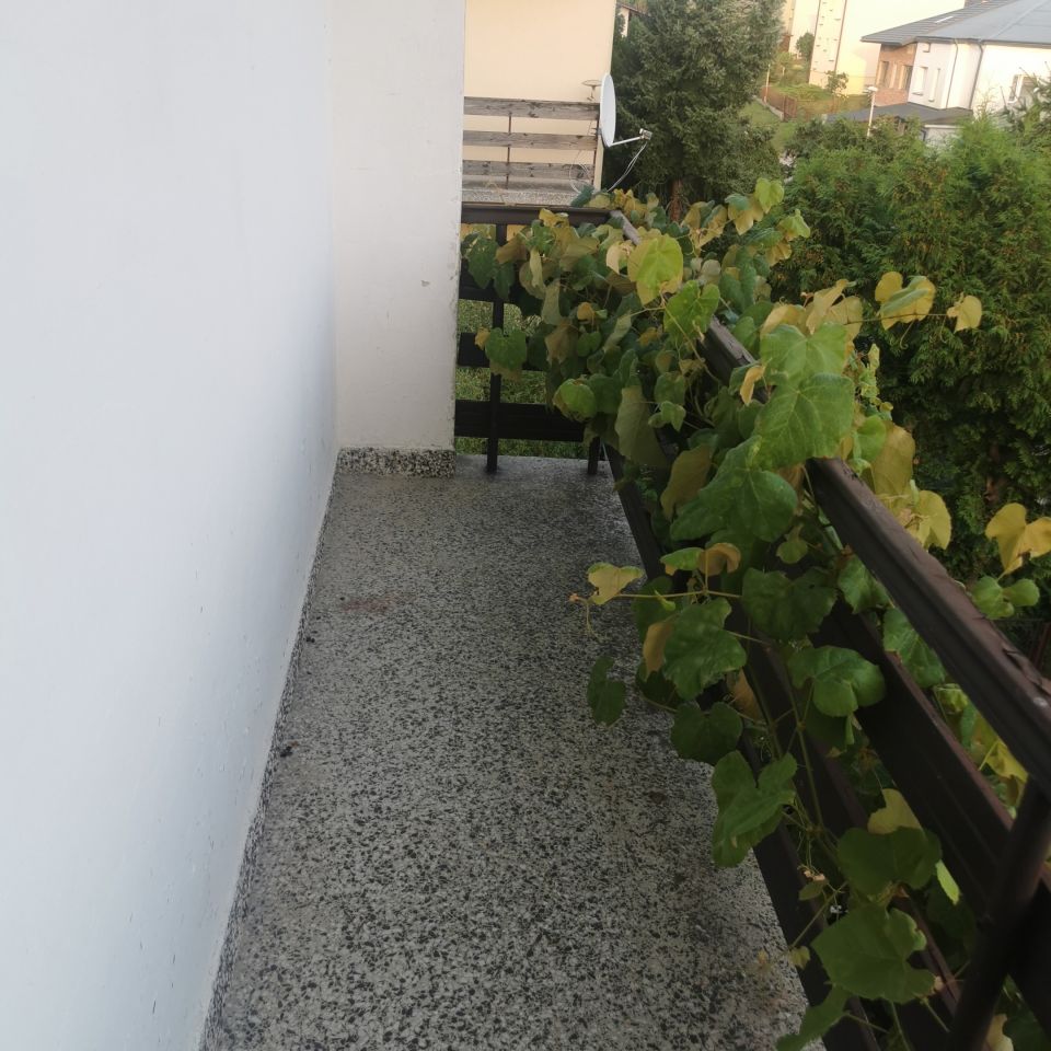 bliźniak, 5 pokoi Przeworsk, ul. Kazimierza Koczocika. Zdjęcie 3