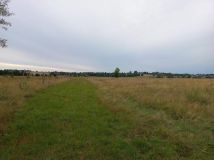 Działka rolna Kopnica. Zdjęcie 2