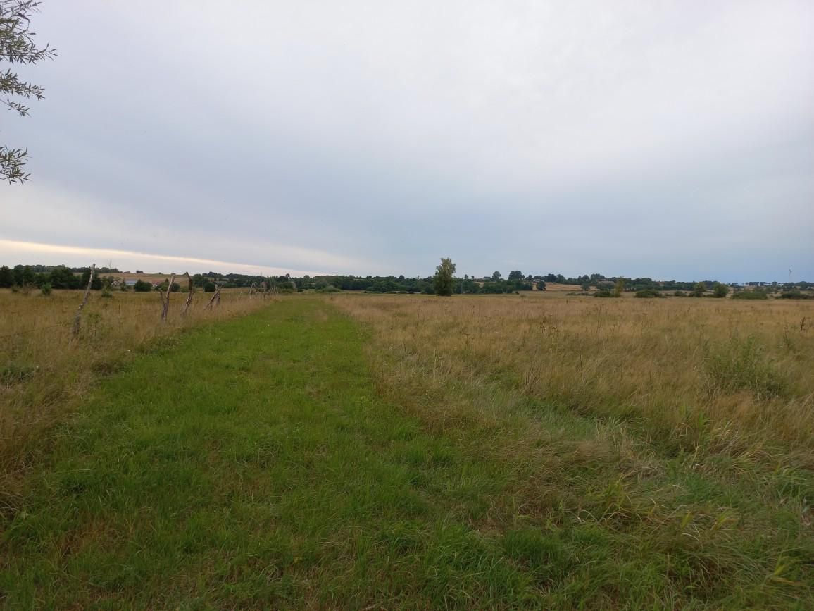 Działka rolna Kopnica. Zdjęcie 3