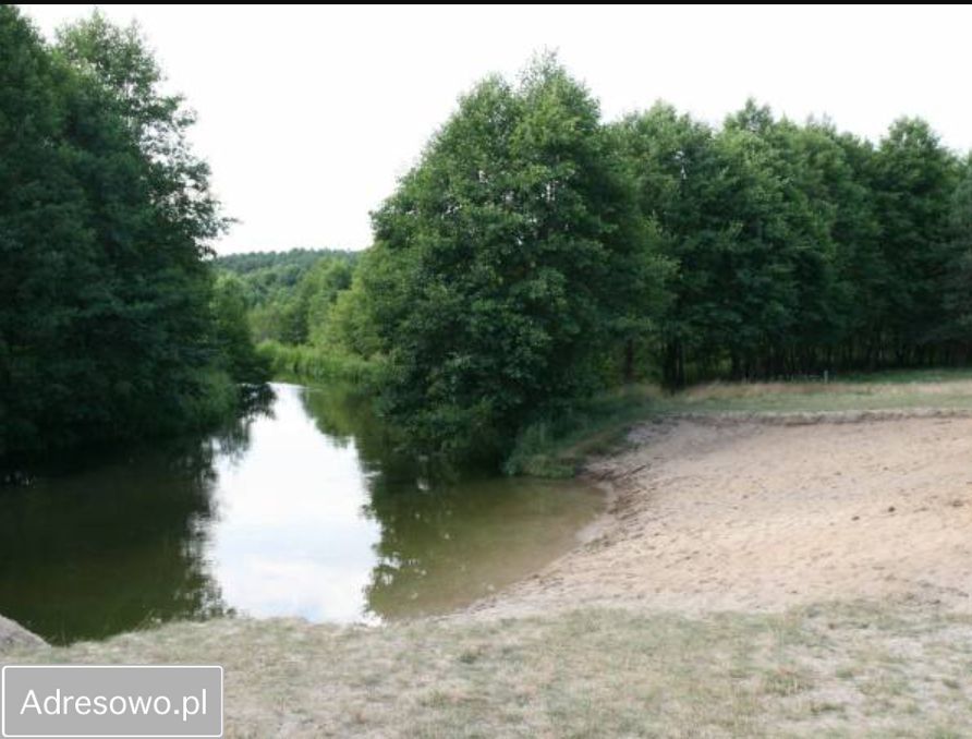 Działka budowlana Miedzno. Zdjęcie 8