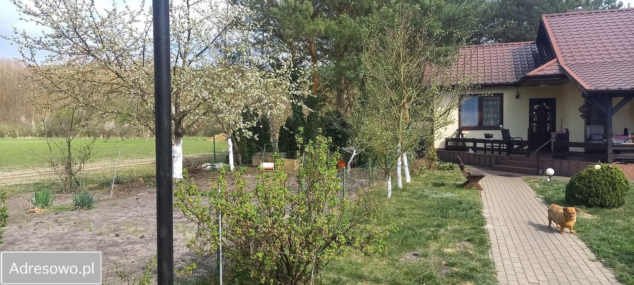 dom wolnostojący, 2 pokoje Borek, brzo. Zdjęcie 10