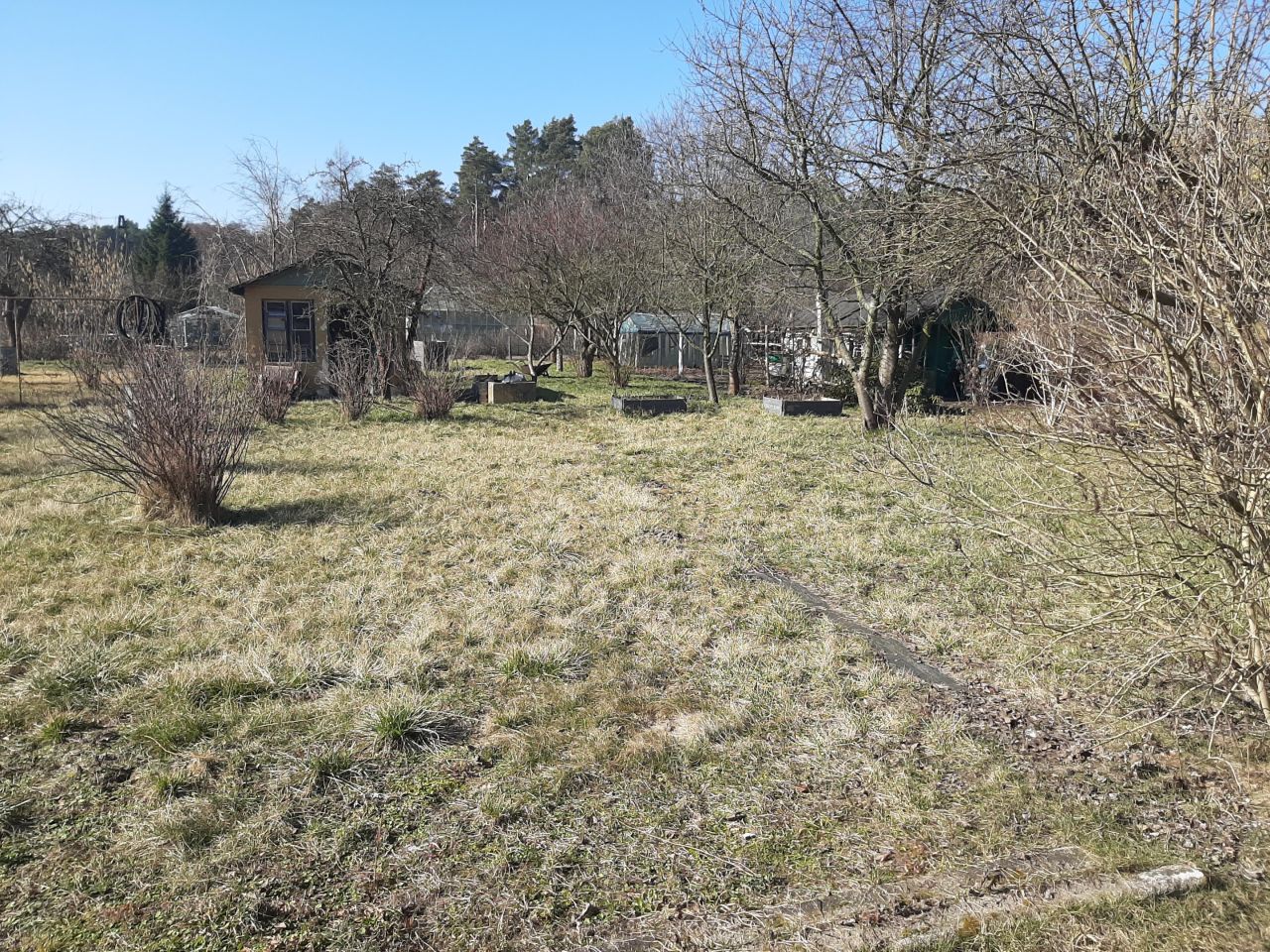 Działka rod Nowa Sól, ul. Zielonogórska. Zdjęcie 13