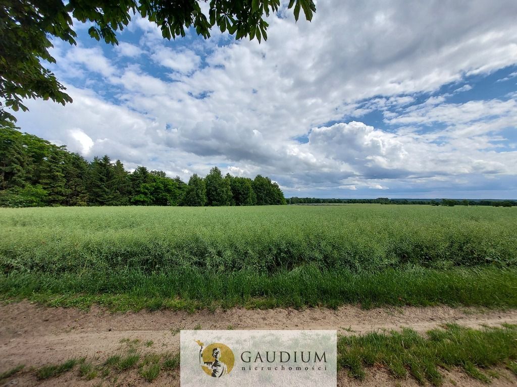 Działka Borkowo Lęborskie. Zdjęcie 3