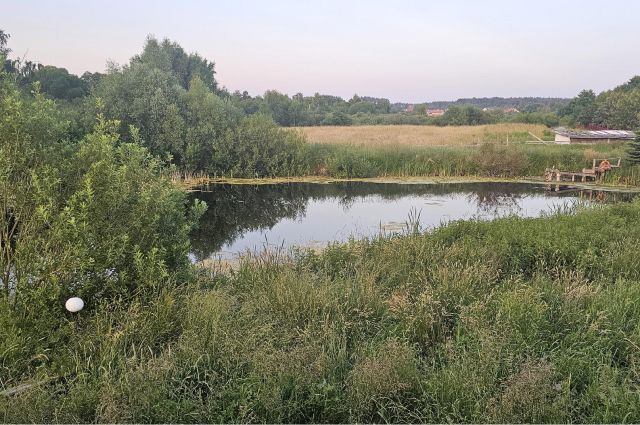 dom wolnostojący, 4 pokoje Wilkasy, ul. Lipowa. Zdjęcie 10