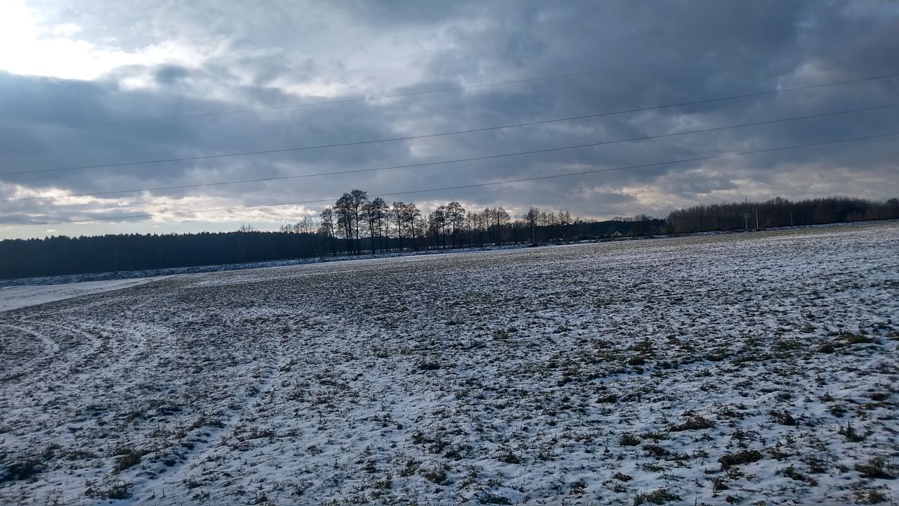 Działka rolna Tarnowiec, dzialka 232. Zdjęcie 4