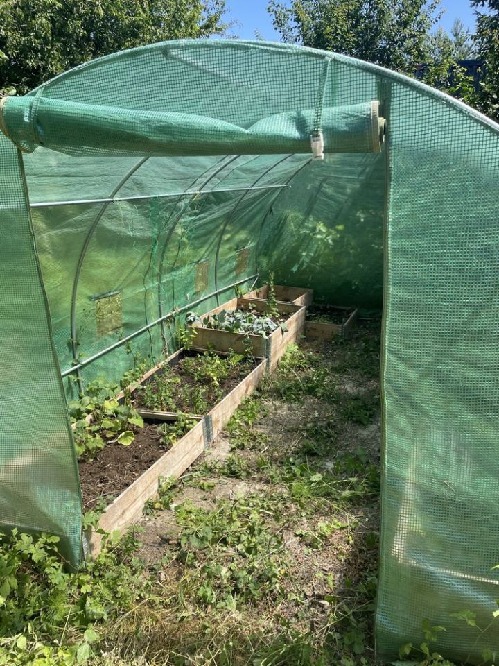 Działka rekreacyjna Szczecin Golęcino, ul. Wendeńska. Zdjęcie 5